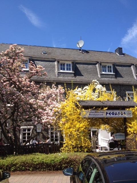 Hotel Friedrich Hachenburg Exterior photo